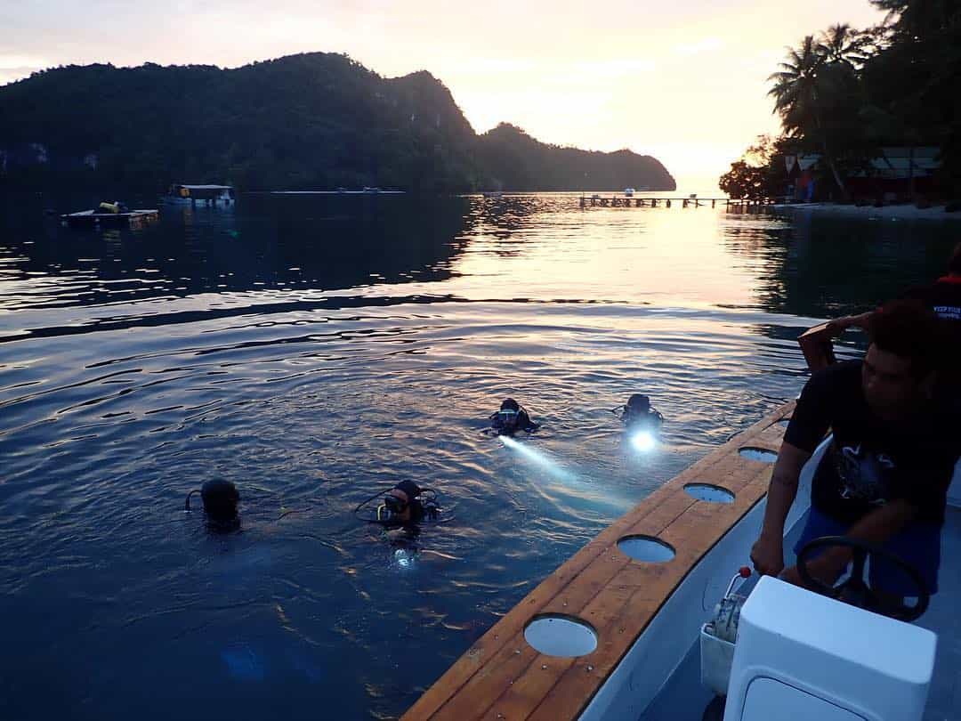 Starting a night dive